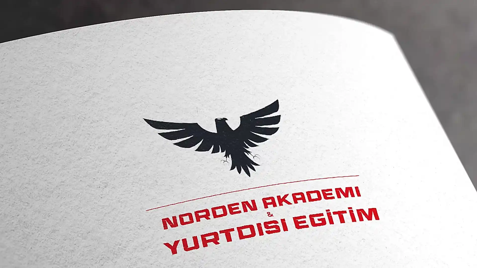 proje1